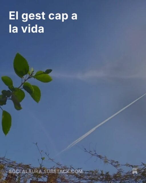 Hi ha una planta al balcó que cada dia gira una mica cap a la llum. Ningú l'hi ha ensenyat.

Cap on gires tu, quan ningú t'ho diu?

L'article complet, "El gest cap a la vida", a Substack (enllaç a la bio).